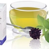  Элеутерококк