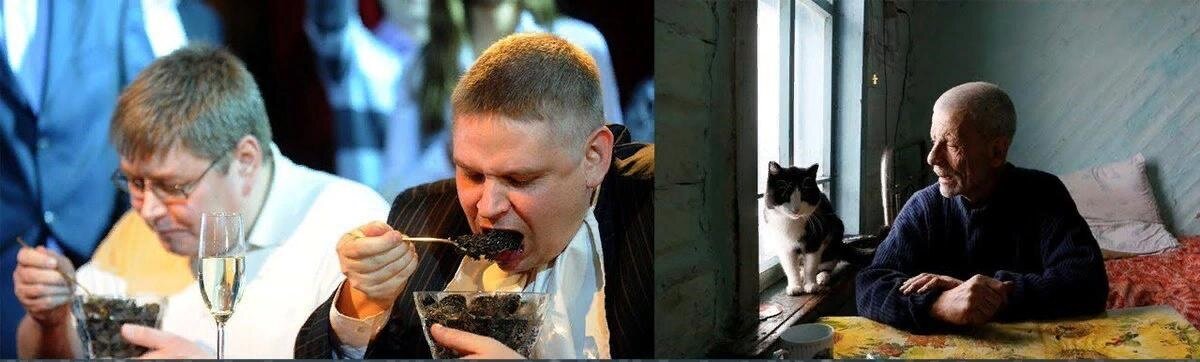 Фото взято из открытых источников