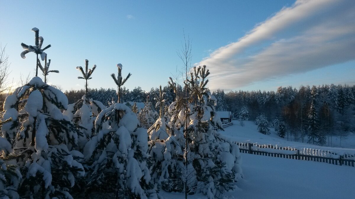 Вид с моей террасы