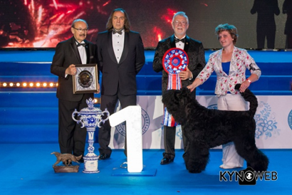 Победительница Чемпионата мира - черный терьер Файн Леди с Золотого Града, владелец: Зайцева.