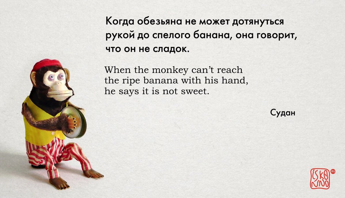 Пословица в виде картинки
