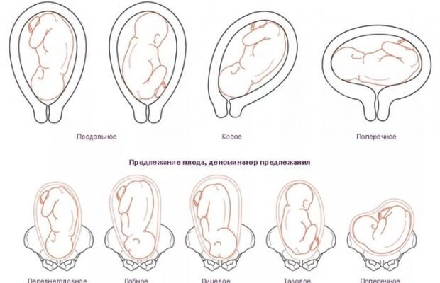 яндекс картинки