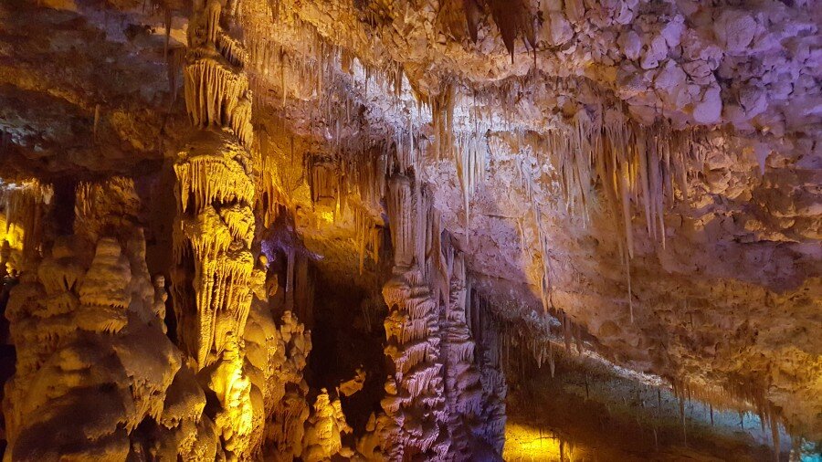 иллюстрация из Яндекс картинок