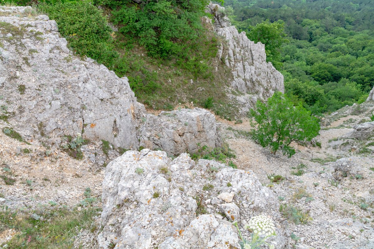 2. Вид на самую верхнюю часть горного прохода Миэссис. (Пока я прохожу мимо этого перевала вдоль кромки яйлы, но после восхождения на гору Спирады и продолжительного ливня я спустился в Голубой залив именно здесь, и фотографии со спуска представлены во второй половине главы).
