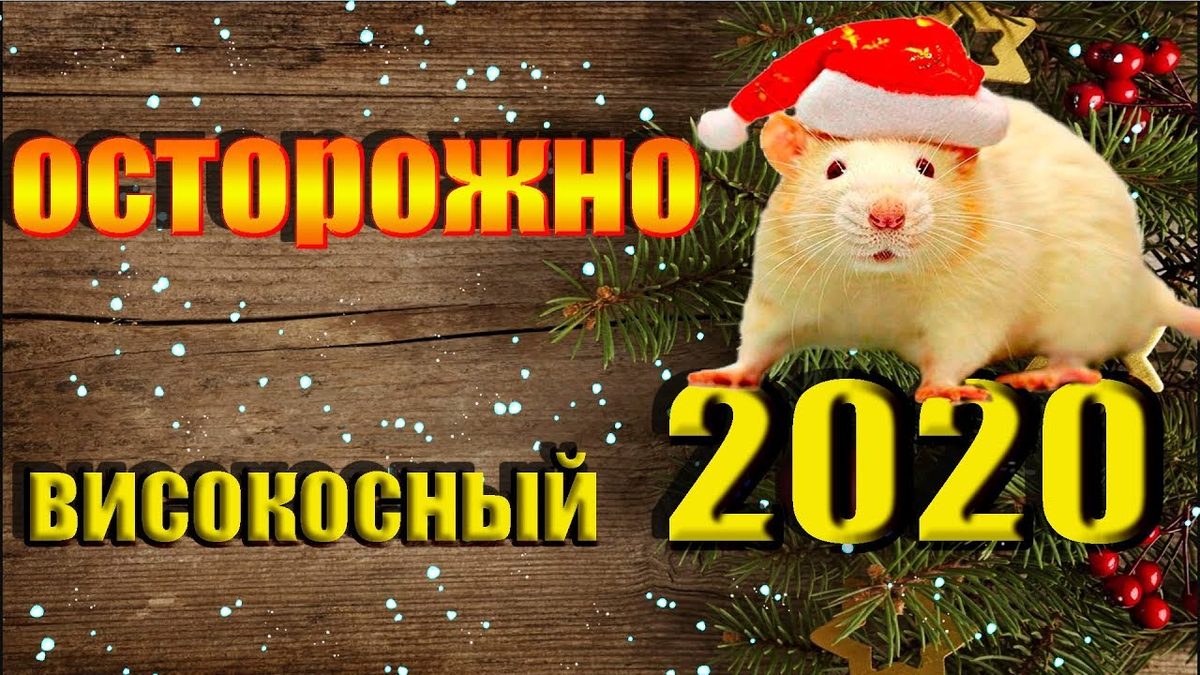 Високосный год 2020. Високосные года с 2020 года. Високосный год картинки. Високосный год приметы. Суеверия високосного года