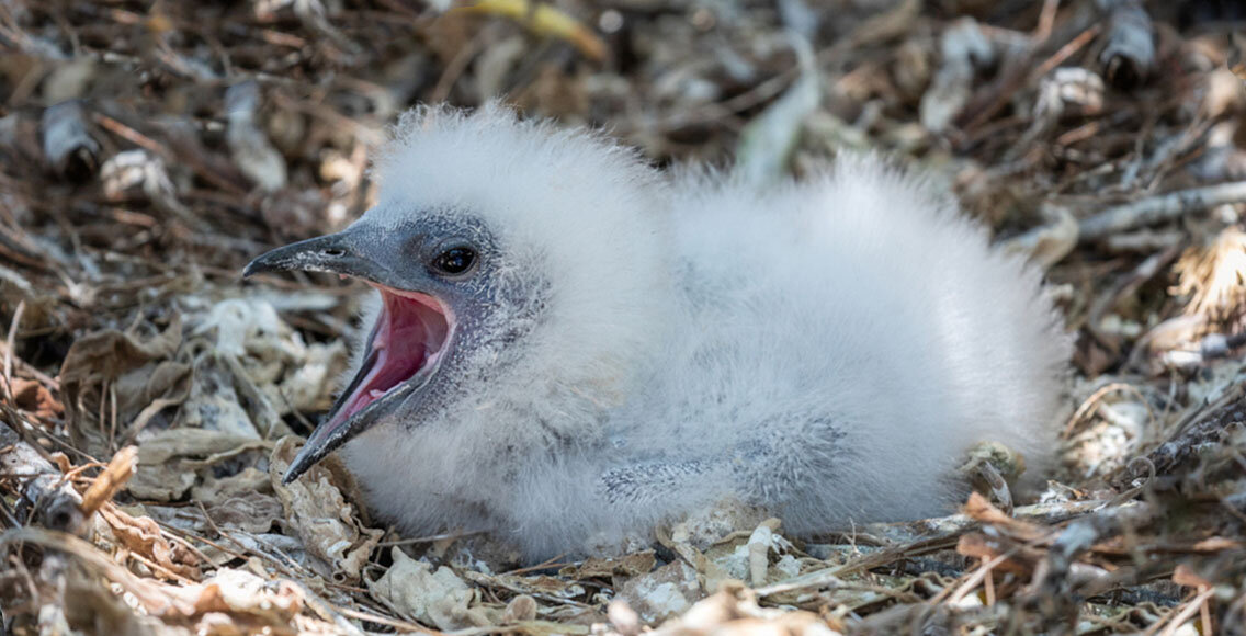 Буду благодарна, если подпишетесь на канал или поставите лайк. Так вы поможете развитию канала.