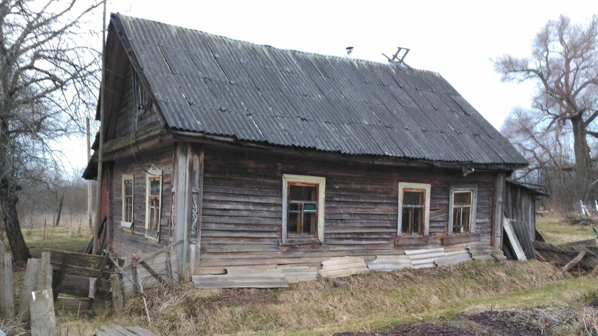 Бабушкины рассказы - с того света они приходят предупредить или попросить  нас | Обитающий в деревн(и!) | Дзен