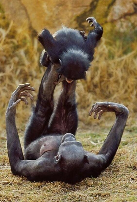 Фото из интернета: https://www.pinterest.ru/pin/617767273872603707/