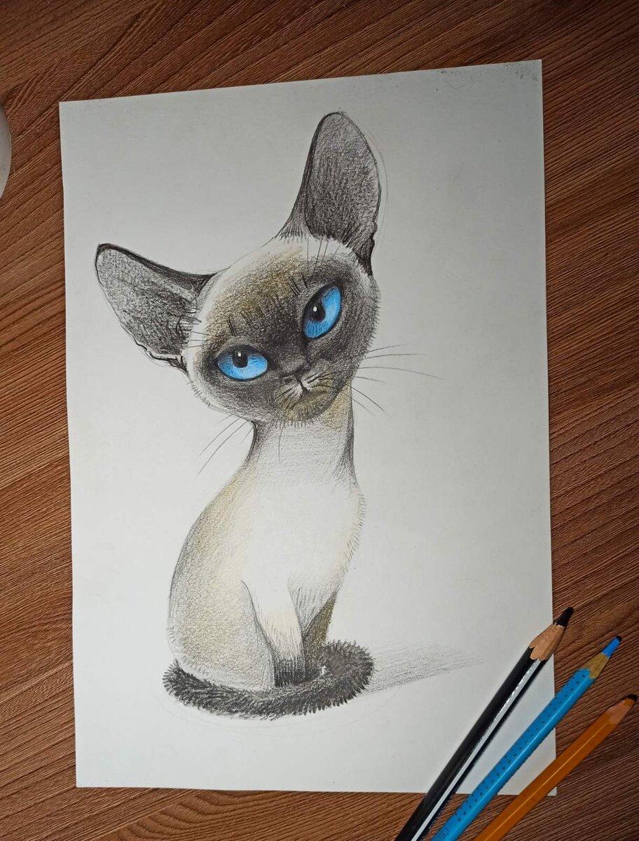 Реалистичный поэтапный рисунок кошки карандашом.