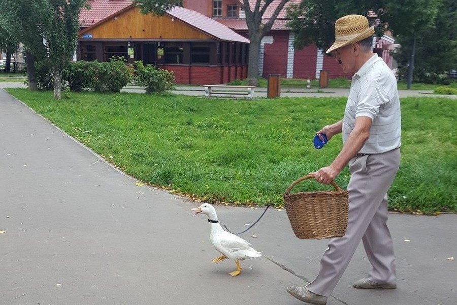 Поможешь мне грибов набрать!