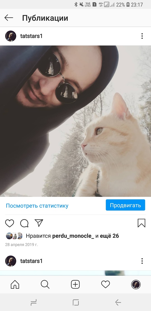 Рыжий кот всегда со мной даже на улице