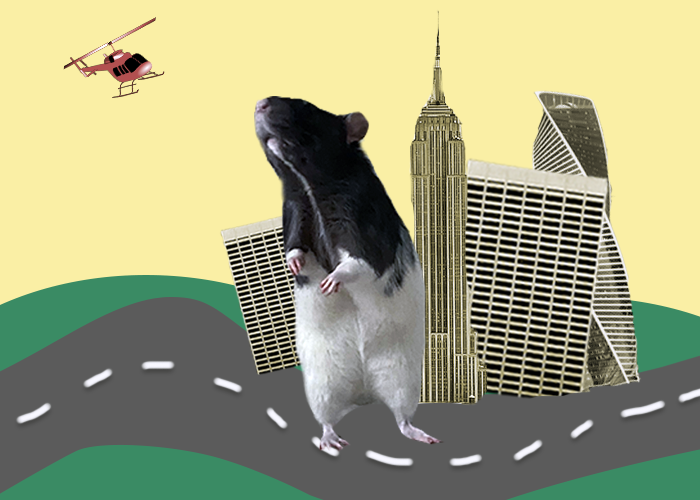 иллюстрация создана авторами канала "Кракен постит"