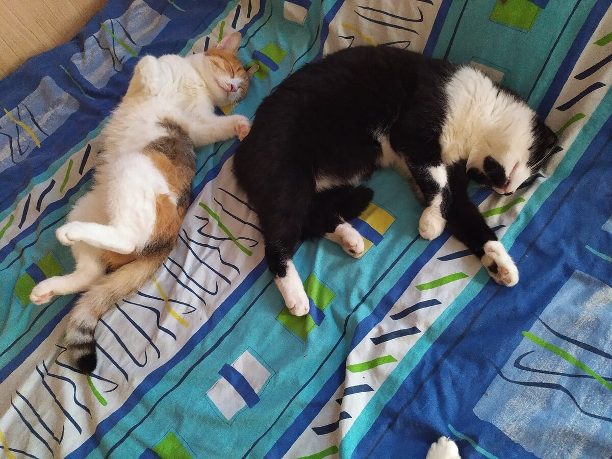 Как только не выкрутишься от жары.