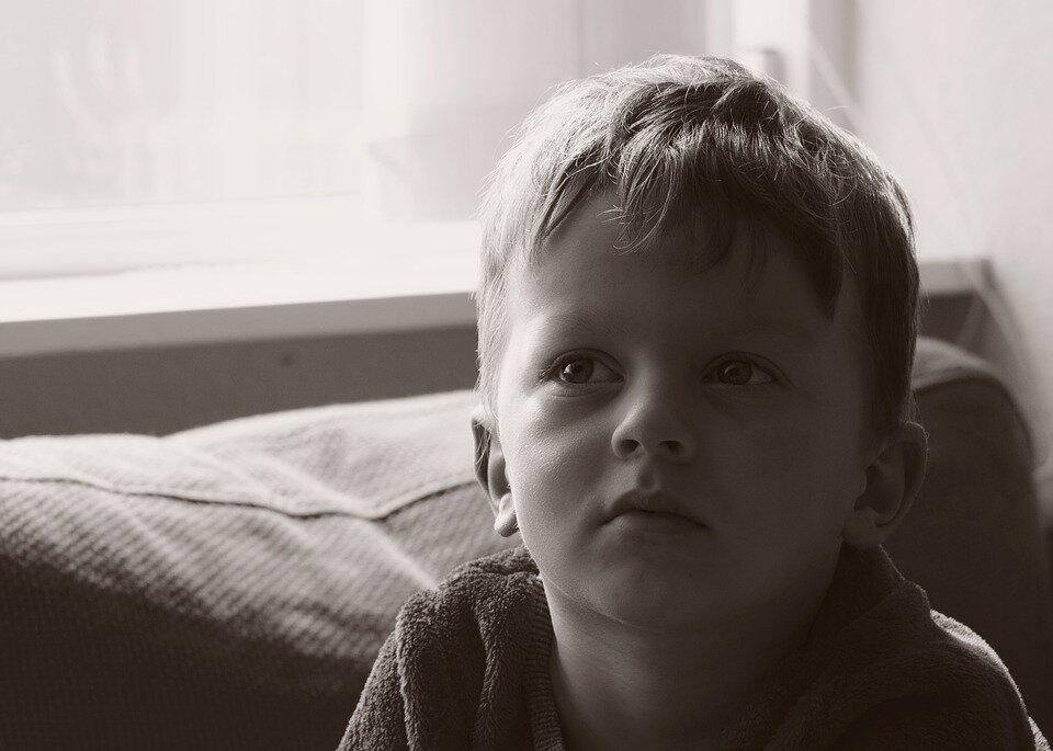 Фото взято с pixabay.com