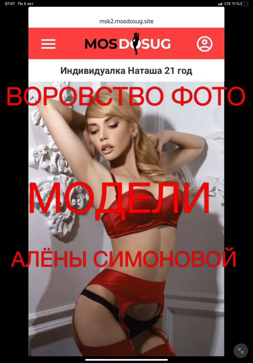 воровство фото модели 