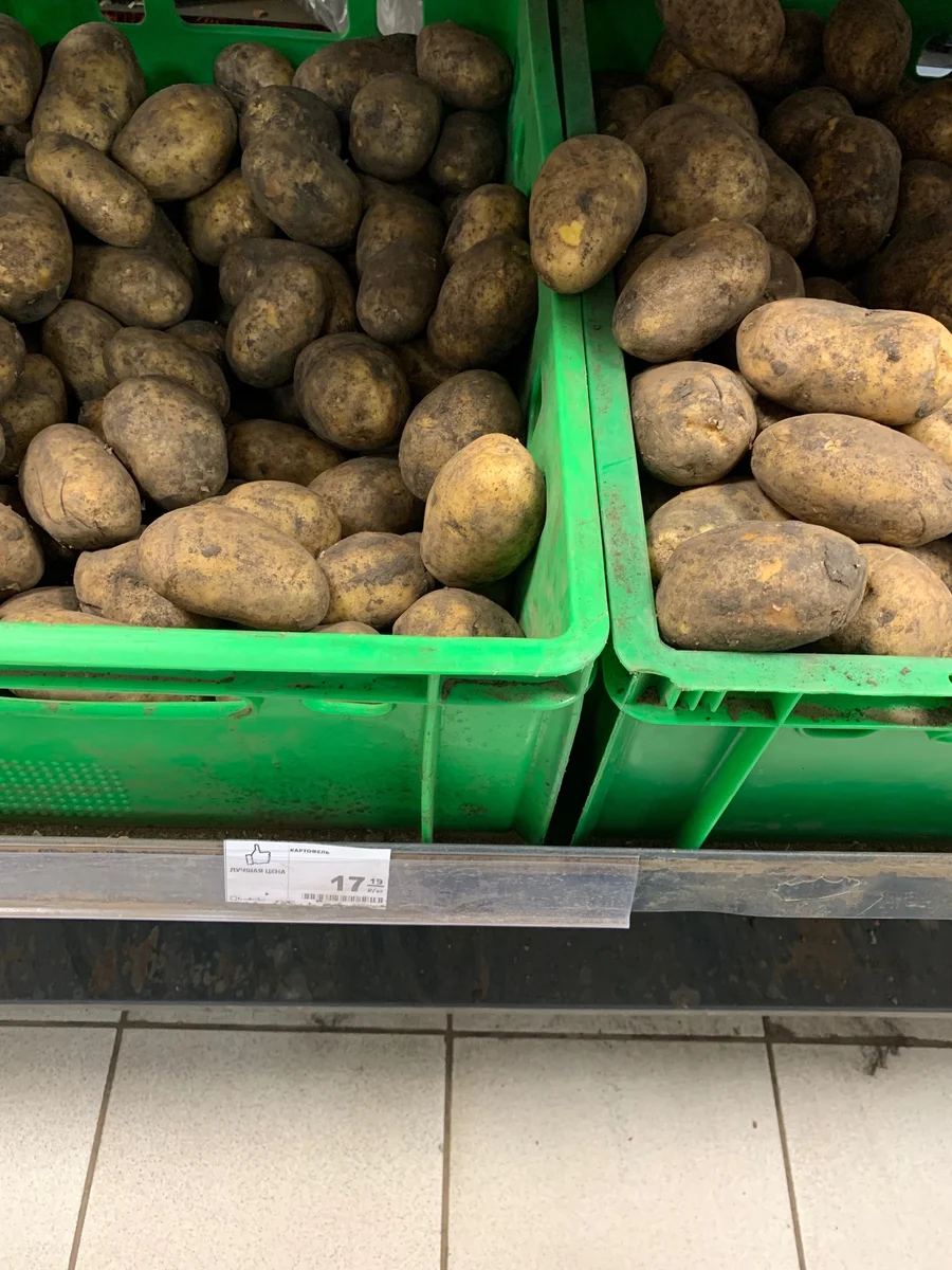 цена в магните 