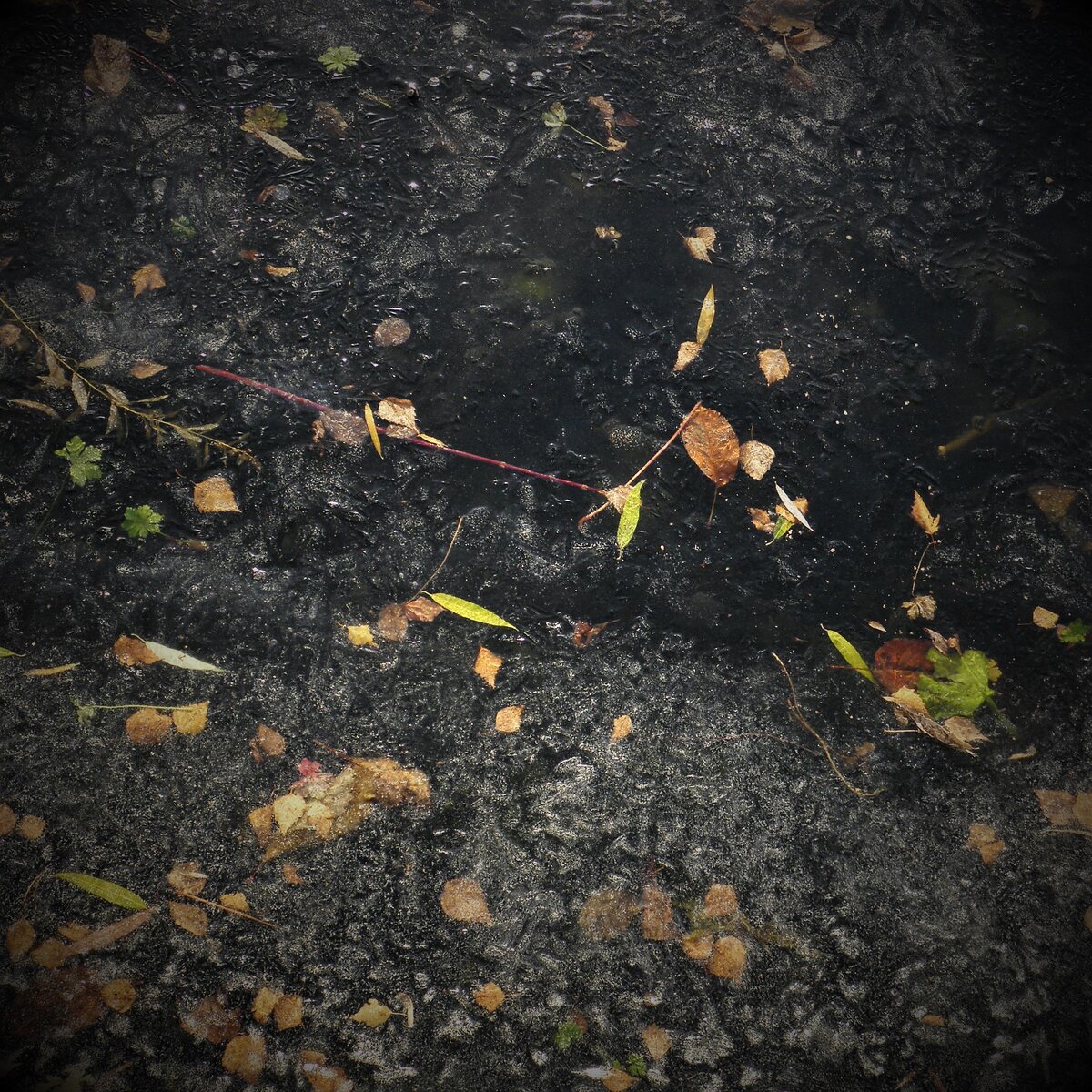 Ноябрь 2020. Первый лёд на Москва-реке.