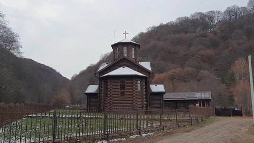 Что творят Домашние животные, на природе когда вас нет рядом