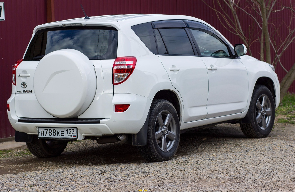 Фотография взята с Яндекс Картинок