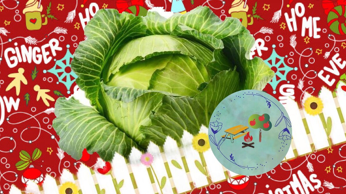 Буду рад, если Вы подпишитесь на мой канал и поставите лайк. Это очень поможет продвижению канала. СПАСИБО!