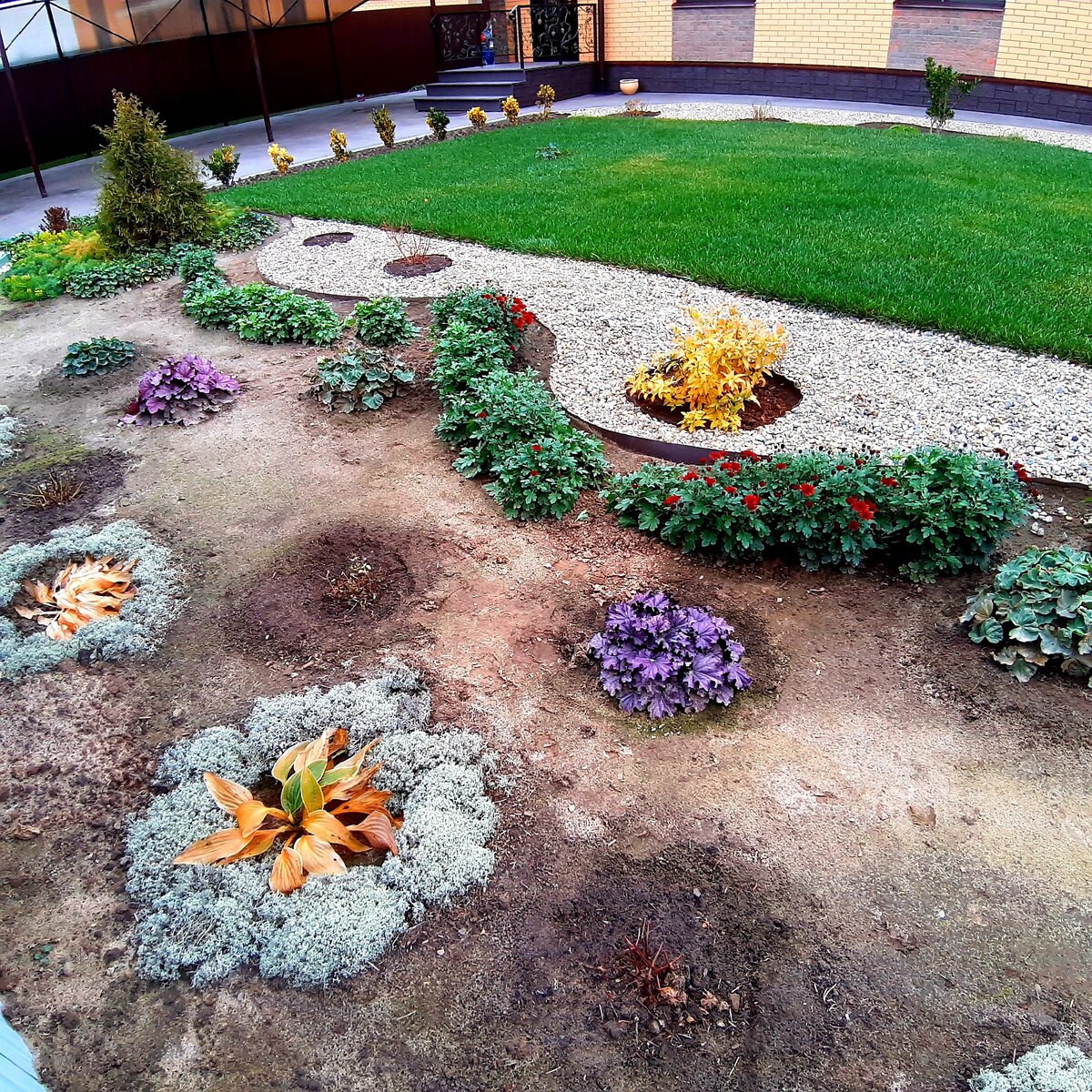 Середина ноября - газон презеленый!