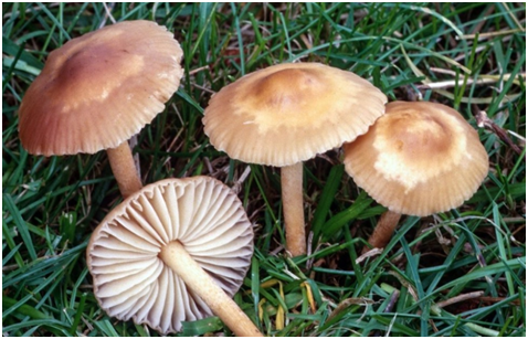 Ставьте лайки и подписывайтесь на мой канал