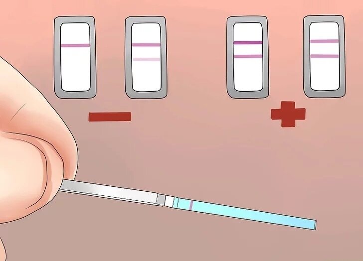 Ярка контрольная и тестовая полоски - признав скачка ЛГ, вероятность овуляции высокая.