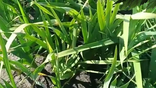 Не забудьте подписаться на канал