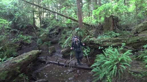 Поход по острову Ванкувер - West Coast Trail