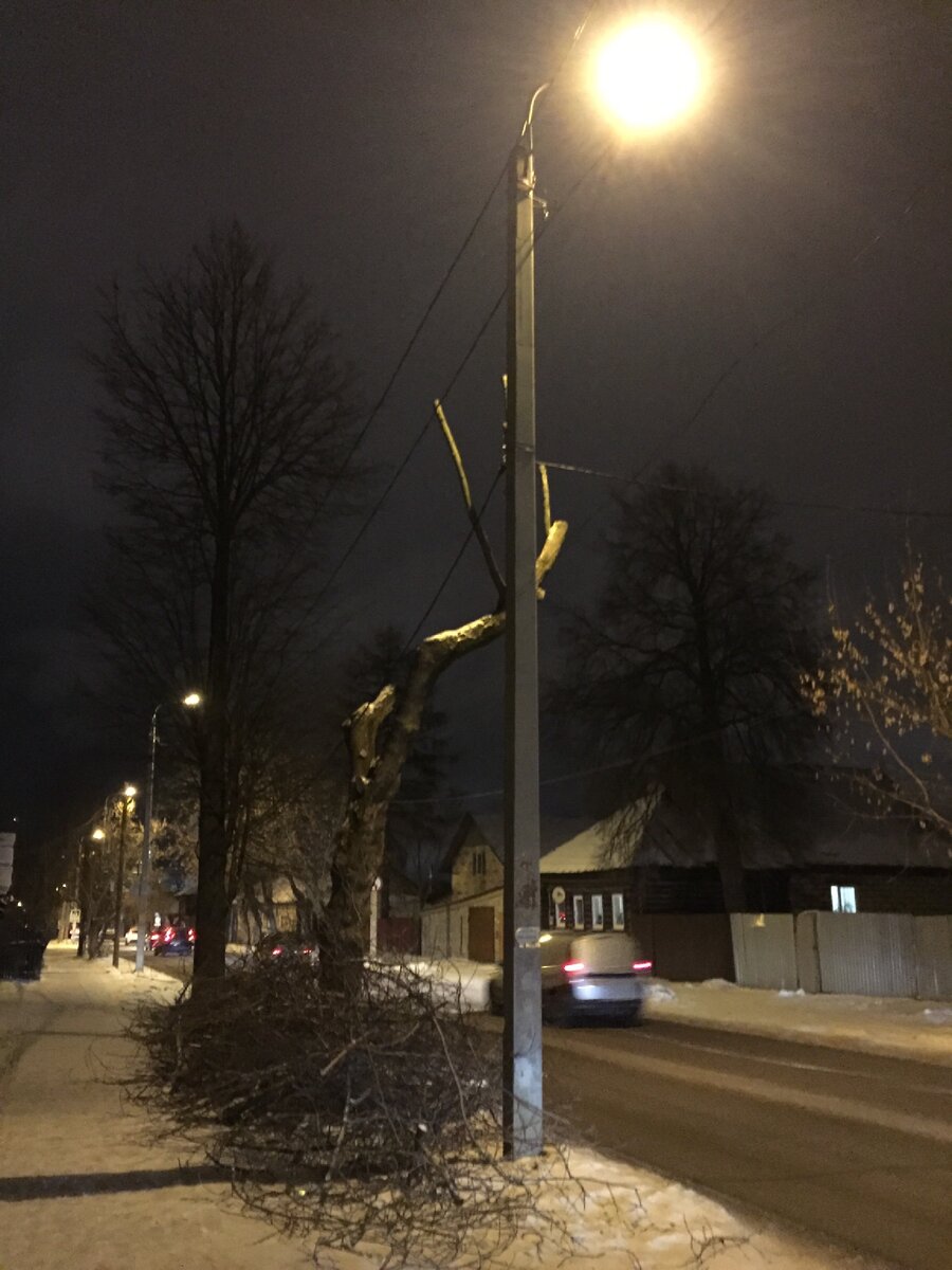 Спилили ветки с дерева