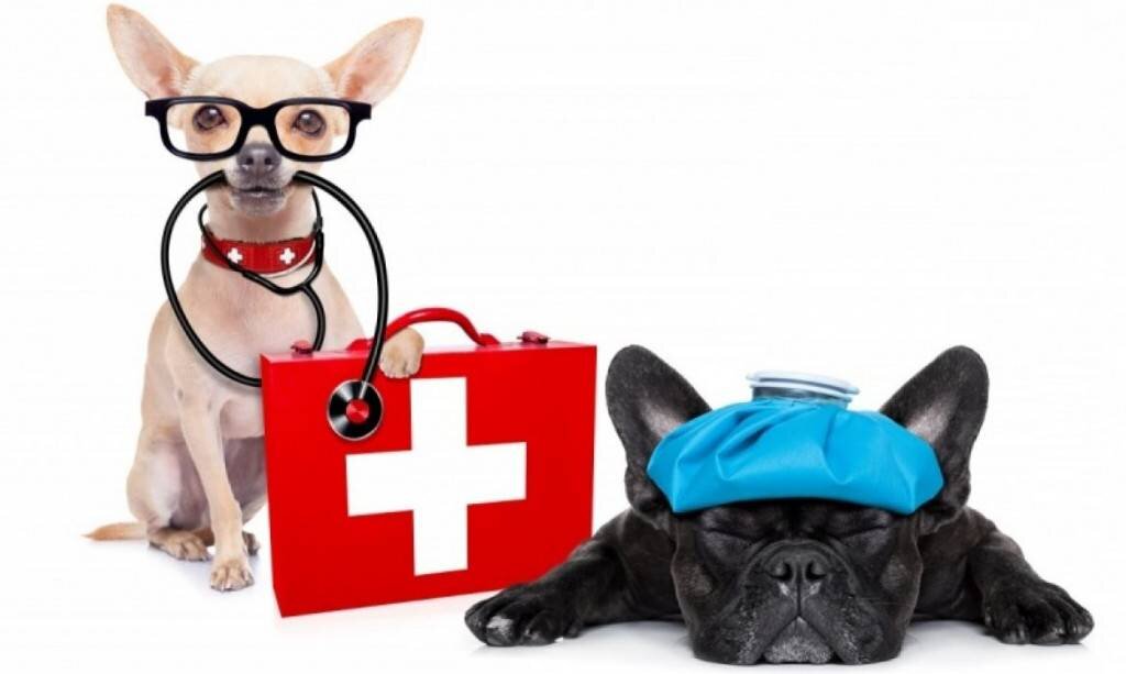 Правило 1: Ограждение территории