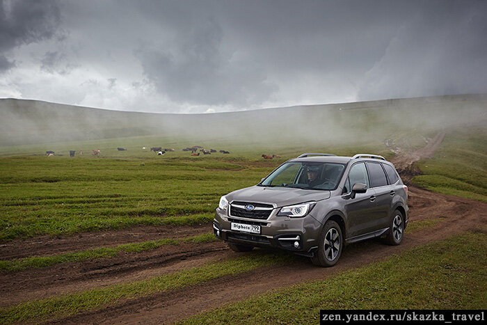 Subaru Forester прошлого поколения