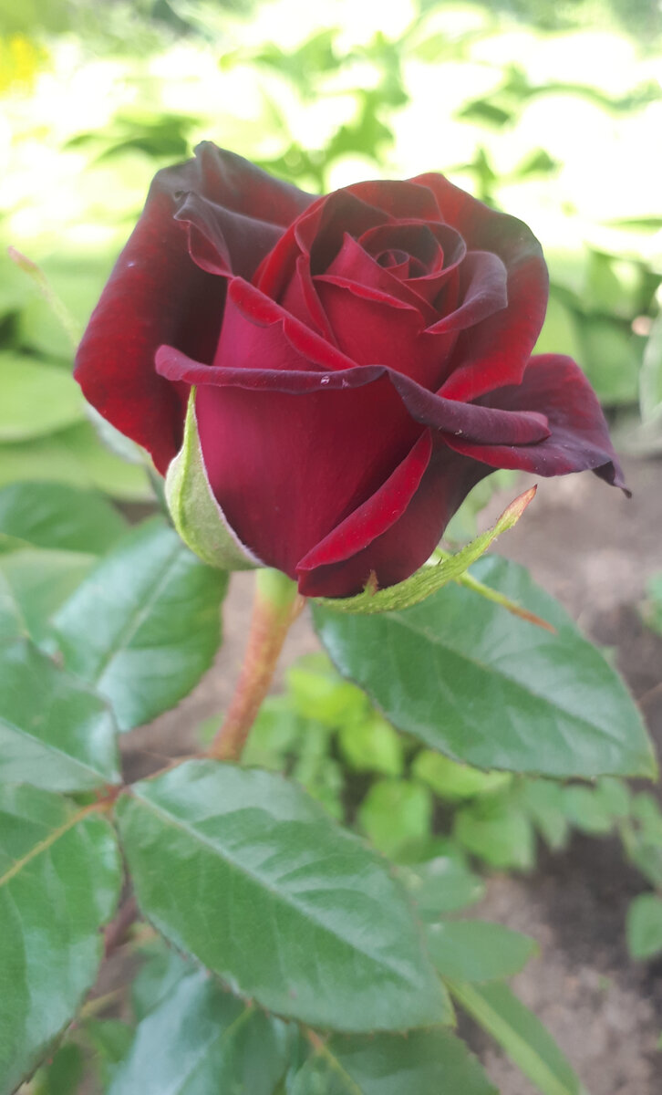 Личное фото автора.