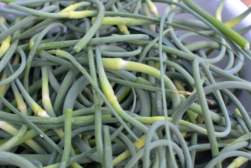 Стрелки чеснока