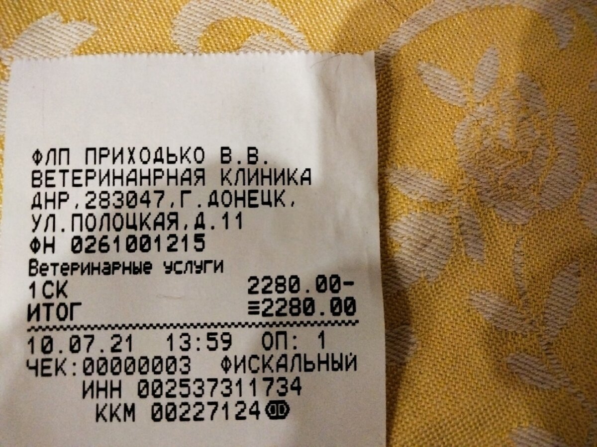 Начало новой недели: у нас с волонтером большие надежды, что теперь мы  получим больше ответов | Блог #Мими_кися | Дзен