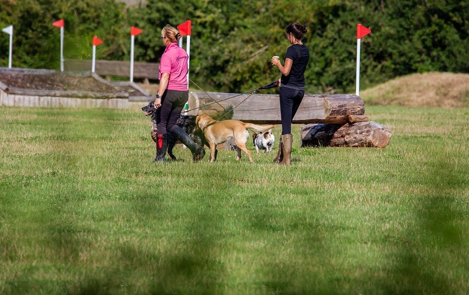 фото взято из открытых источников