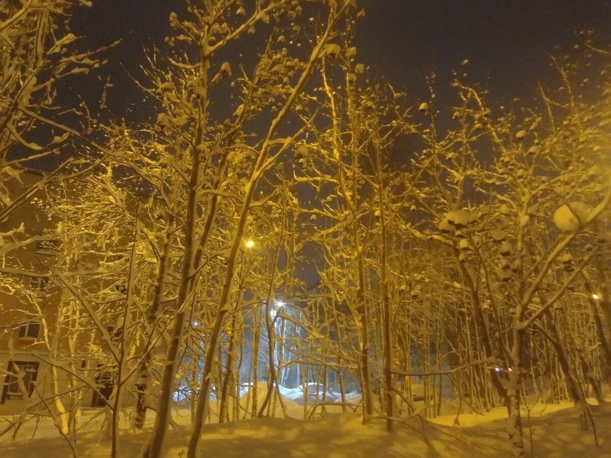 Апатиты в декабре 2020.