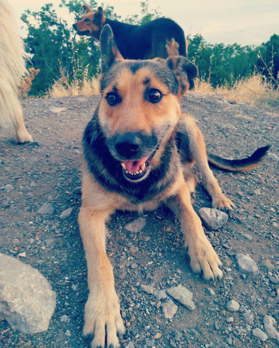 Мой Мураш😭❤️