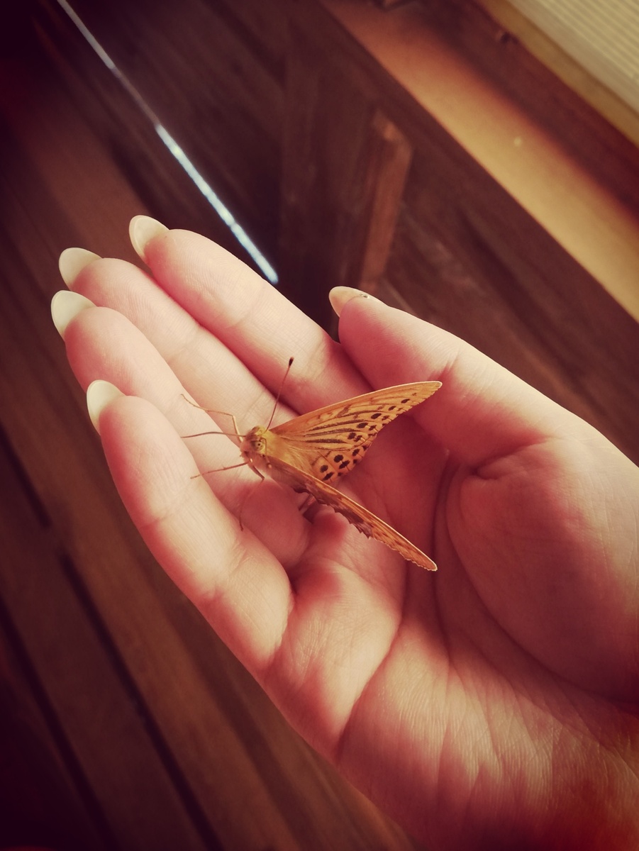 Фото с дачи