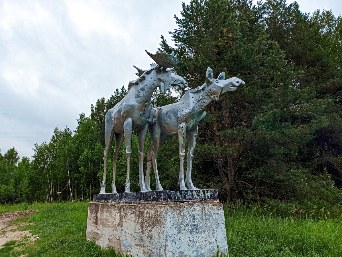 Лоси - Кашин, Тверская область