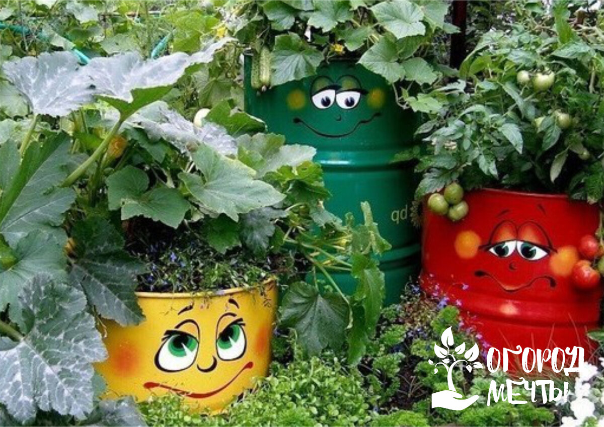 Техники сбора дождевой воды для оптимального использования