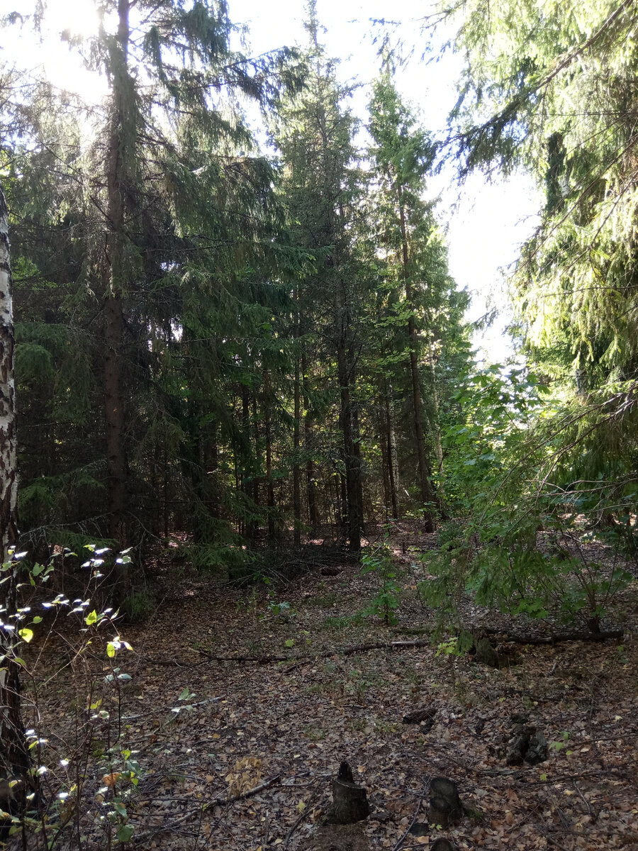 Фото из личного архива