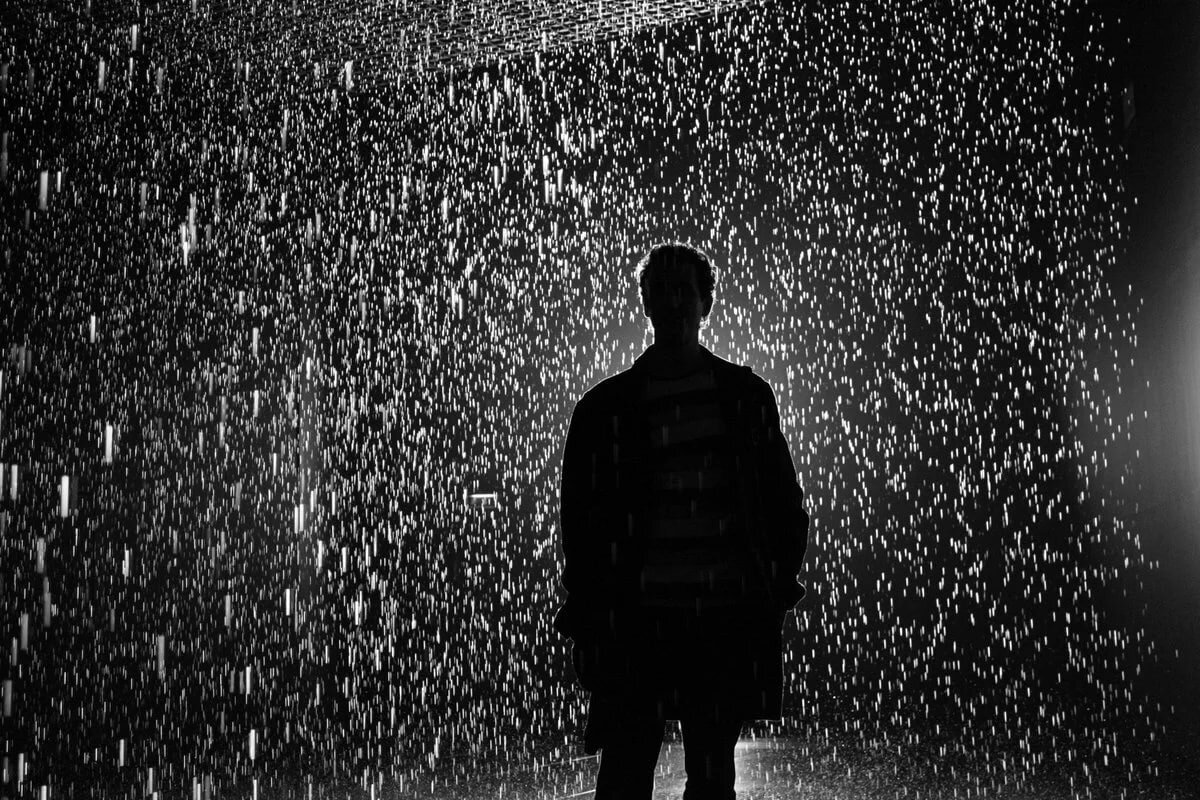 Изображение взято из открытых источников.