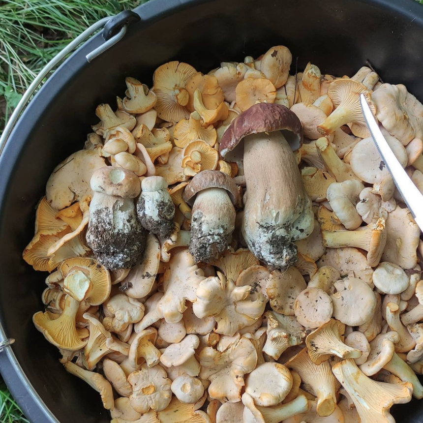 Такие были первые сборы после строчков.
