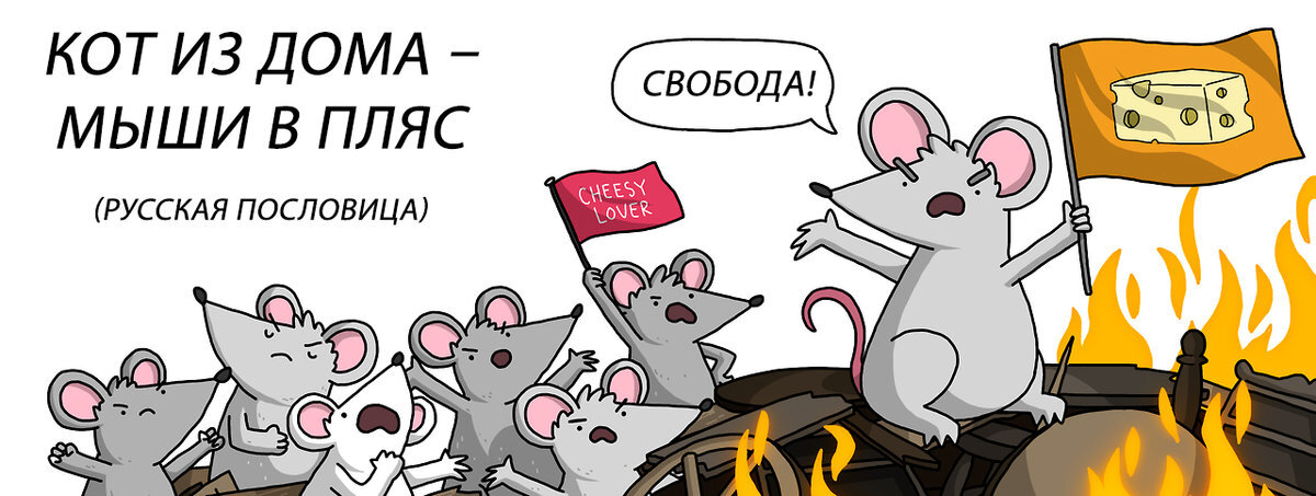 Кот из дома мыши в пляс картинки
