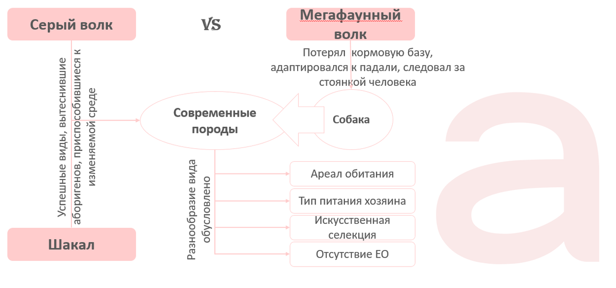 На формирование современных пород собак влияли не только их родственники и человек, но и сама матушка Природа.