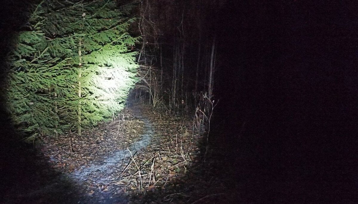 фото из интернета