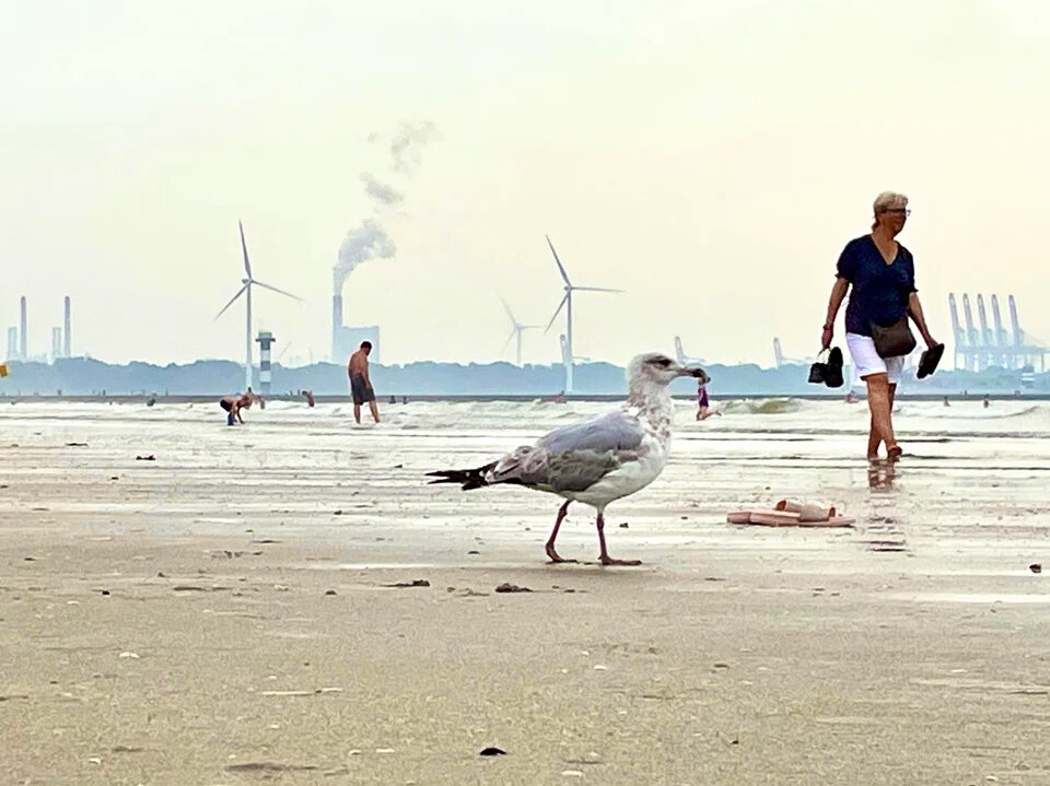 Фото: hoof99 / Reddit