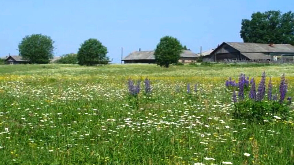 Скрин сделан автором из клипа на песню Русское поле