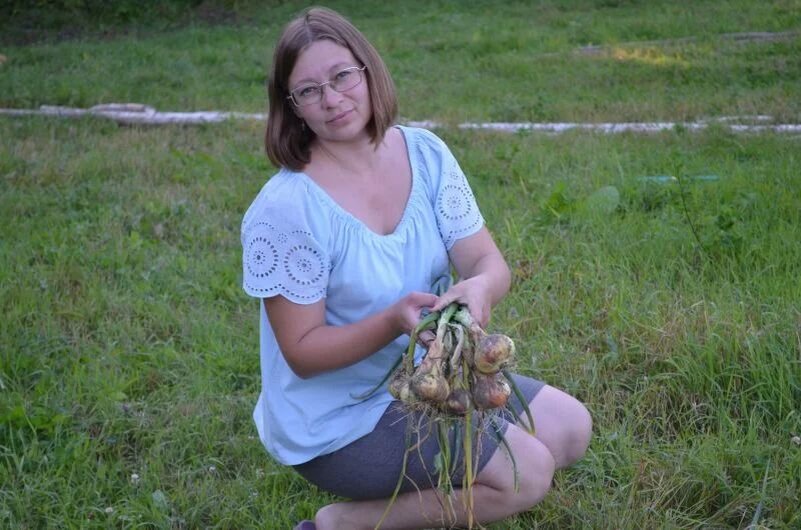 Убираю лук с грядки.